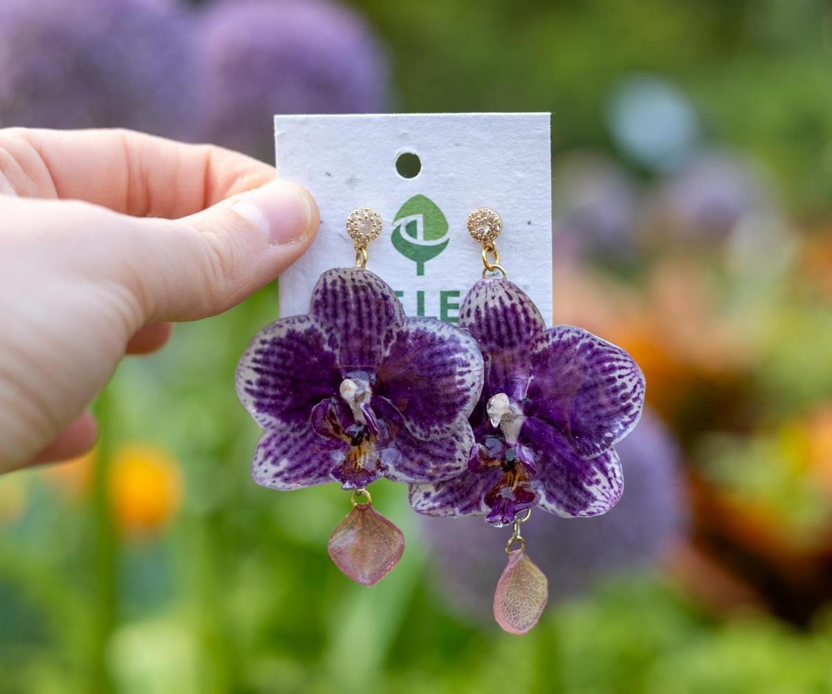 IMG_9941.jpg (136 KB)